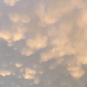 Meet your Posher, Chloe